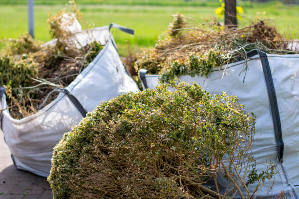 Professional Junk Removal Services in Druid Hills, GA